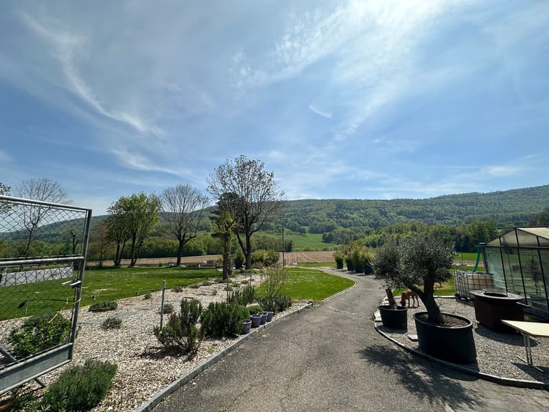 Gärtnerei auf 4'000m2 Land und diversen Parkplätzen (5)