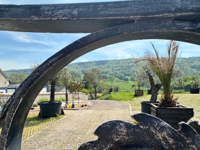 Gärtnerei auf 4'000m2 Land und diversen Parkplätzen (2)
