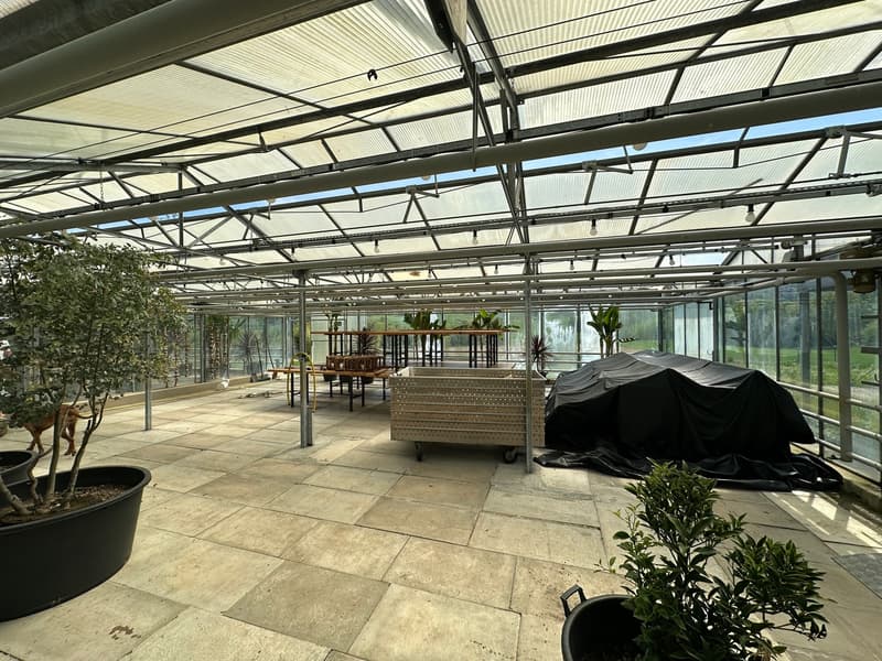 Gärtnerei auf 4'000m2 Land und diversen Parkplätzen (3)