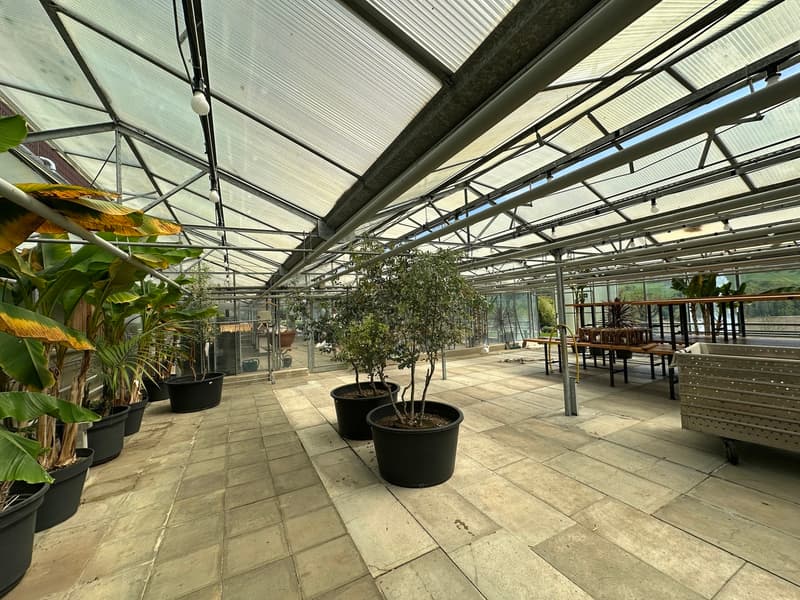 Gärtnerei auf 4'000m2 Land und diversen Parkplätzen (4)