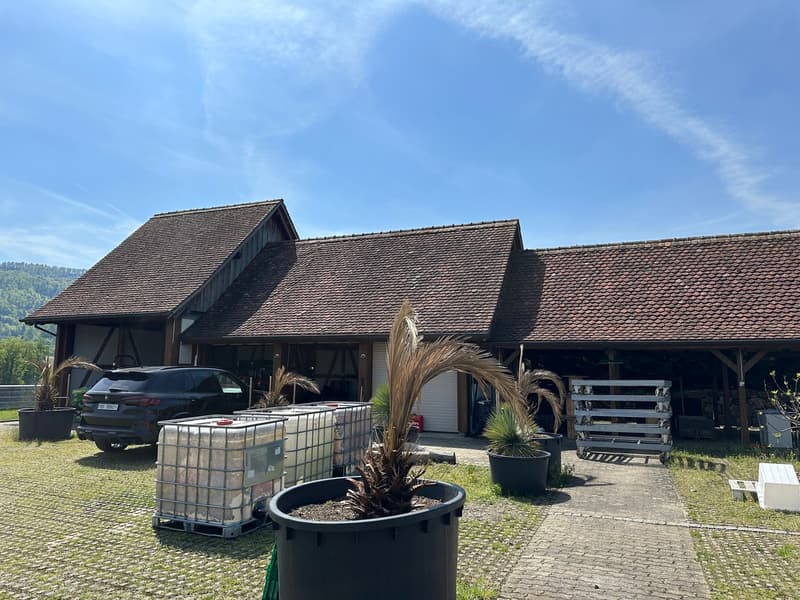 Gärtnerei auf 4'000m2 Land und diversen Parkplätzen (6)