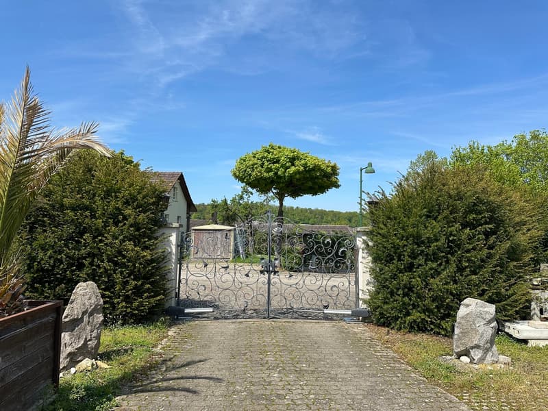 Gärtnerei auf 4'000m2 Land und diversen Parkplätzen (7)