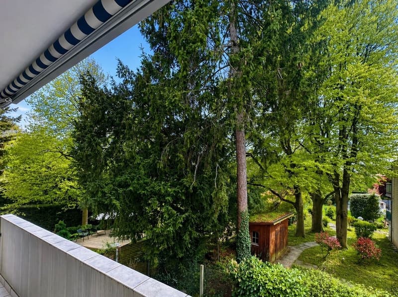 Tolle Wohnung an ruhiger Lage mit Aussicht ins Grüne in Riehen (1)
