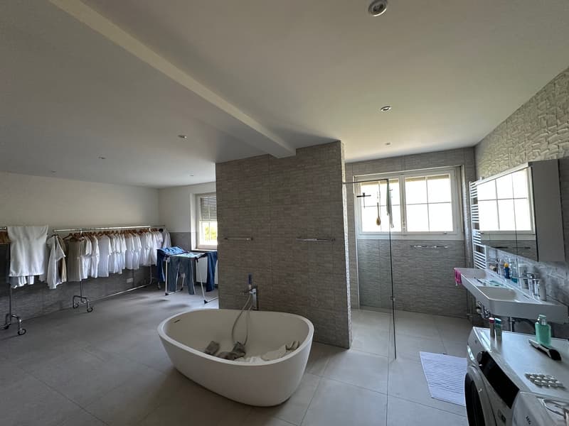 Wunderschöne Villa mit Pool auf über 4'000m2 Land (13)