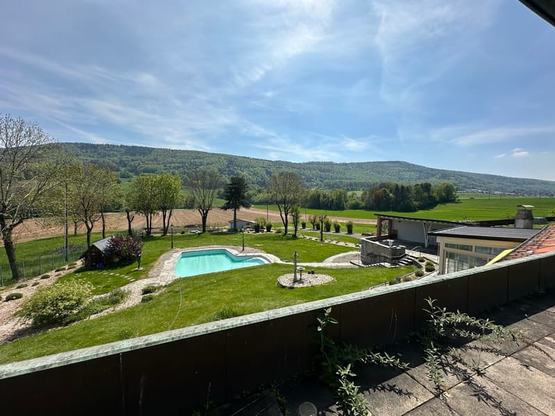Wunderschöne Villa mit Pool auf über 4'000m2 Land (1)