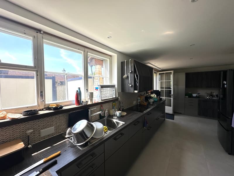 Wunderschöne Villa mit Pool auf über 4'000m2 Land (12)