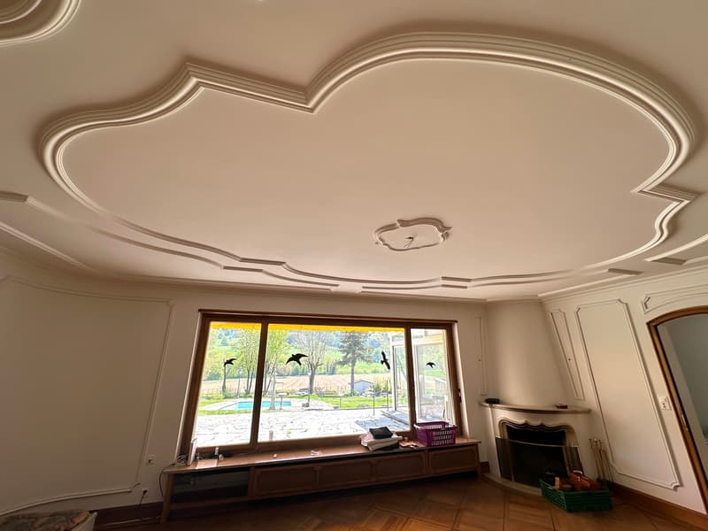 Wunderschöne Villa mit Pool auf über 4'000m2 Land (10)