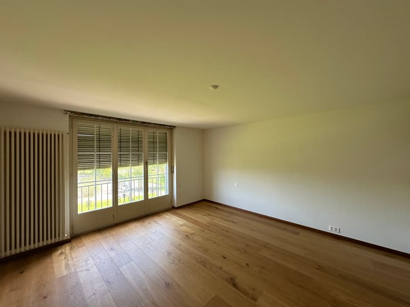 Wunderschöne Villa mit Pool auf über 4'000m2 Land (9)