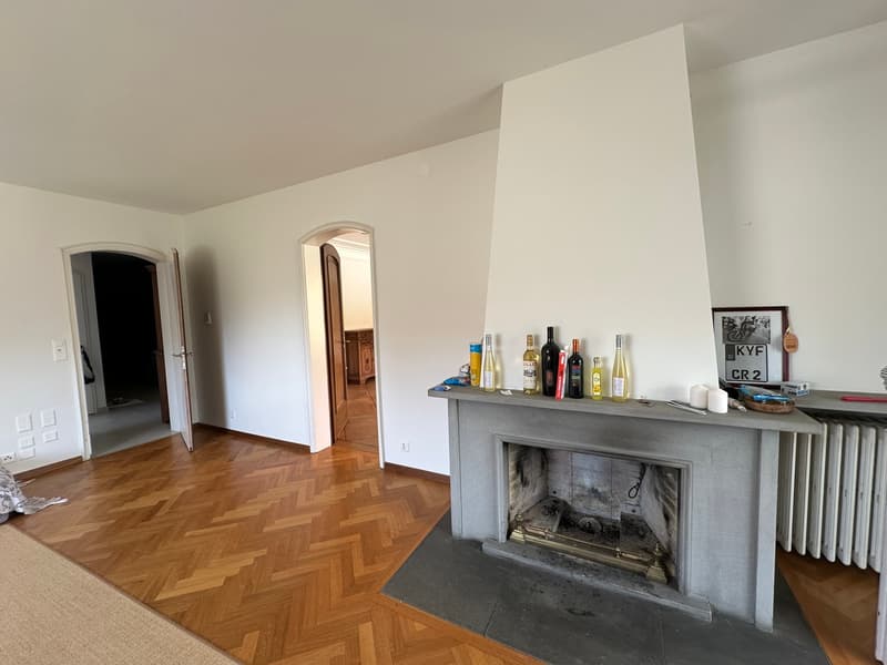 Wunderschöne Villa mit Pool auf über 4'000m2 Land (7)
