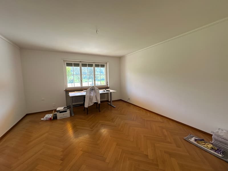 Wunderschöne Villa mit Pool auf über 4'000m2 Land (8)