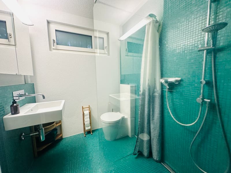 6.5 Zimmer-Haus mit grosser Terrasse und unglaublicher Weitsicht (9)