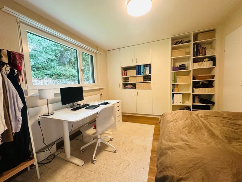 6.5 Zimmer-Haus mit grosser Terrasse und unglaublicher Weitsicht (5)