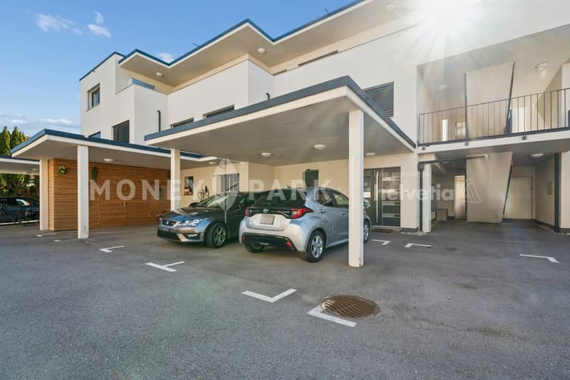 Attique moderne de 2.5 pièces (14)