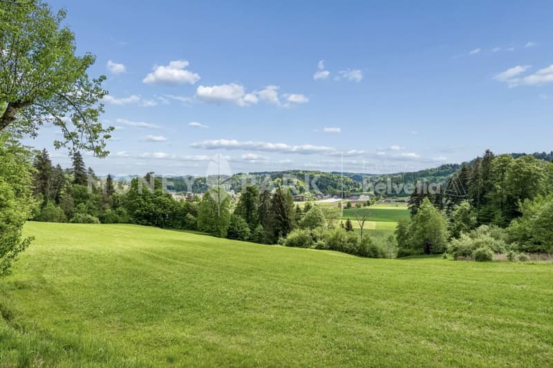 9.5-room country house with barns, spacious garden and great potential (6)