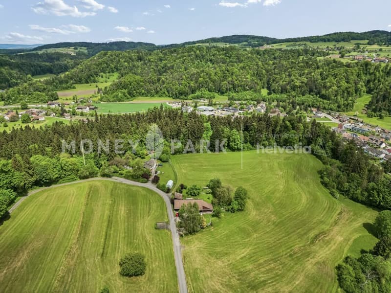 9.5-room country house with barns, spacious garden and great potential (12)