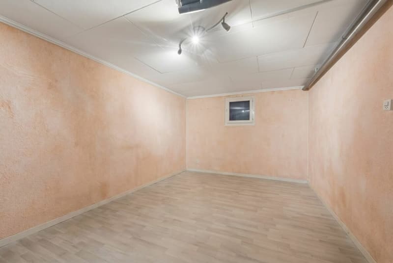 Charmante maison individuelle (13)