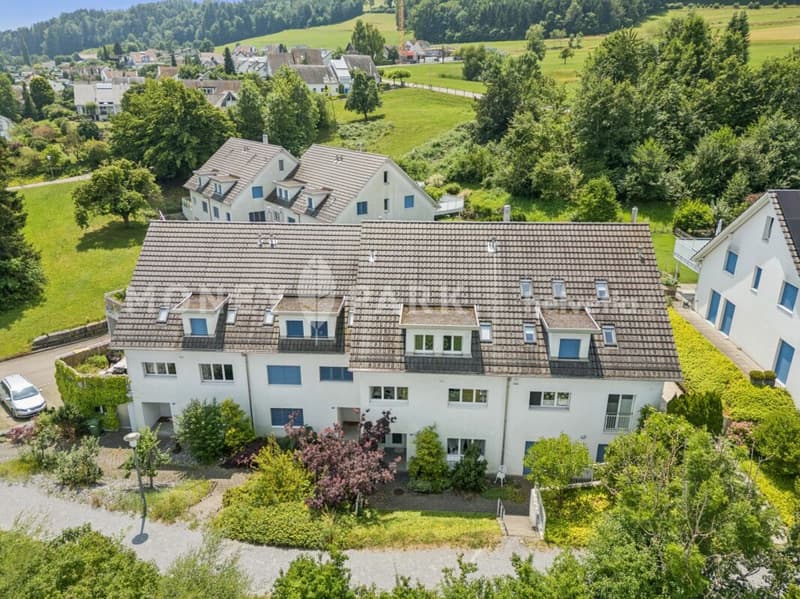 Living with a view - Well-kept 5.5-room house on Pfannenstiel (2)