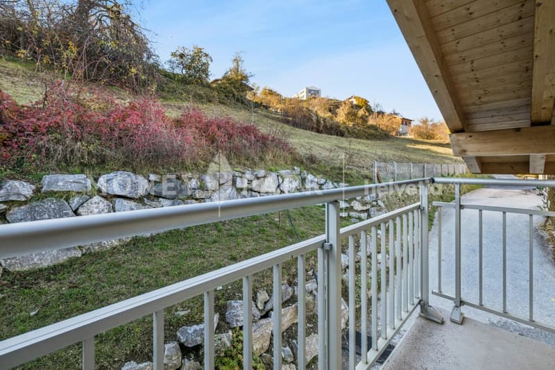 Splendide villa à Vex (15)