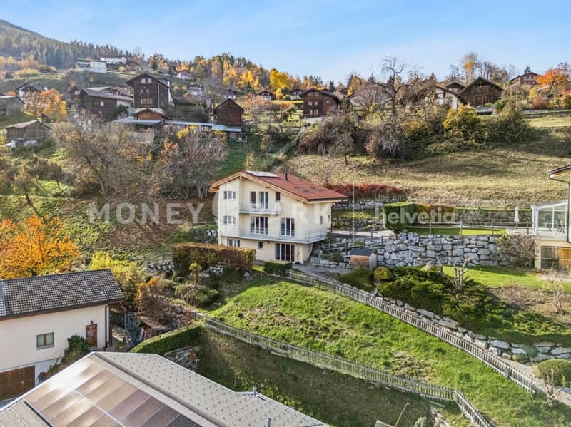 Splendide villa à Vex (1)