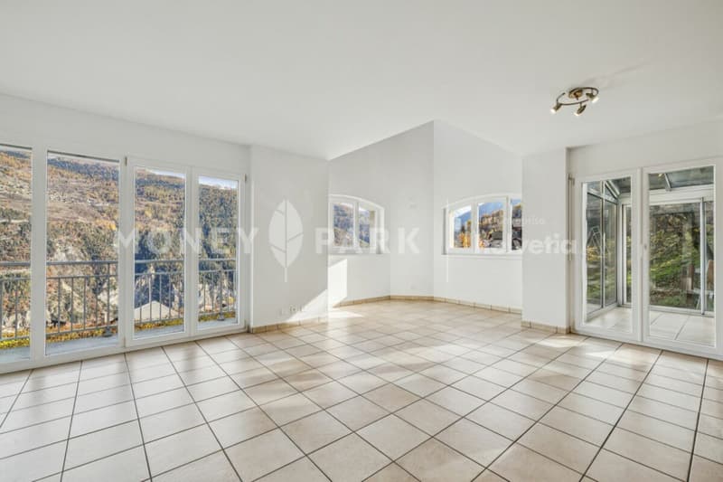 Splendide villa à Vex (3)