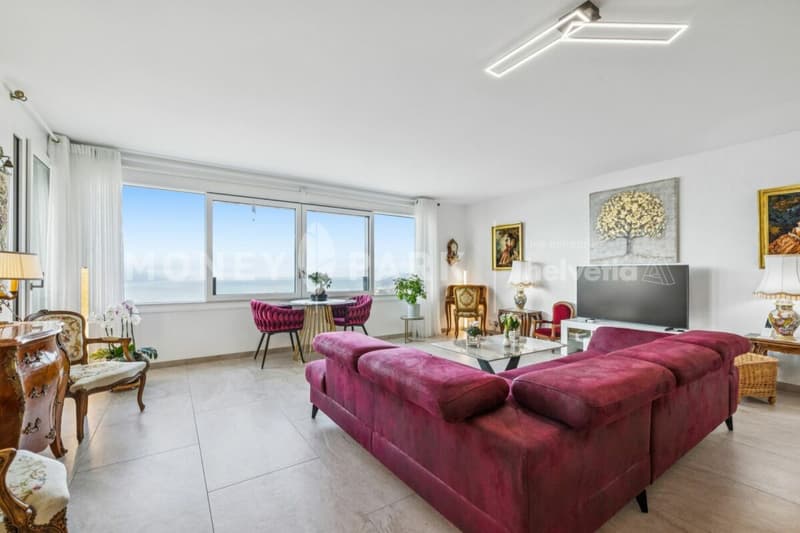 Appartement de 4.5 avec vue panoramique sur le lac et les montagnes (3)