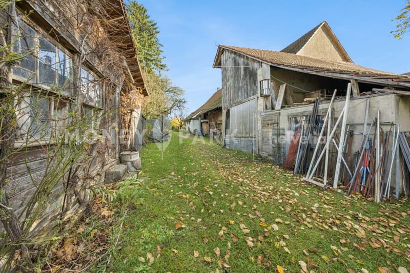 Historischer 6.5-Zimmer-Bauernhof mit grossem Umschwung und viel Potenzial (12)