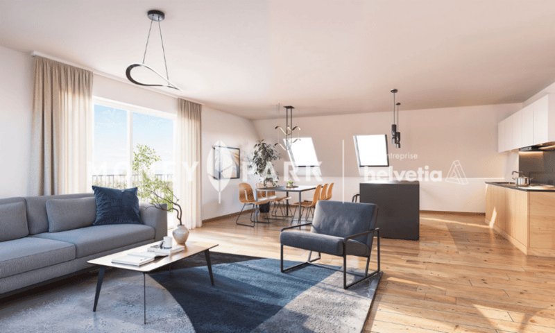Appartements neufs de 5.5 pièces (3)
