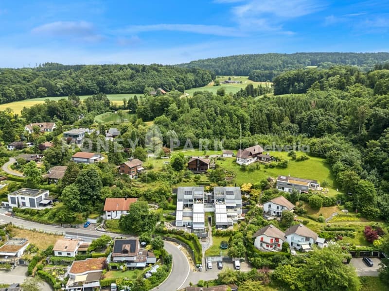 Appartement en terrasse 4,5 pièces avec vue panoramique exceptionnelle et jardin d'hiver (11)