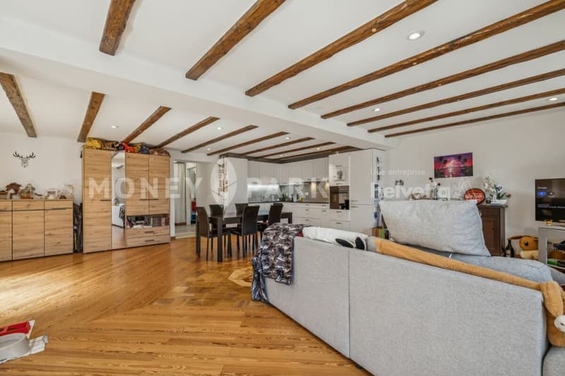 Bel appartement lumineux de 2.5 pièces (9)