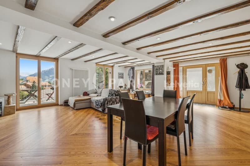 Bel appartement lumineux de 2.5 pièces (5)