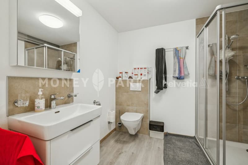 Bel appartement lumineux de 2.5 pièces (13)