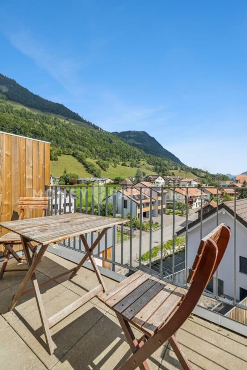 Bel appartement lumineux de 2.5 pièces (2)