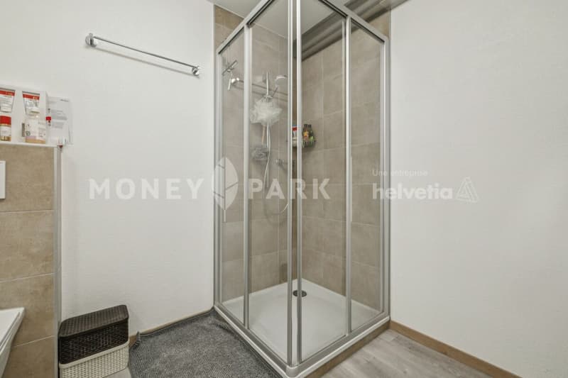 Bel appartement lumineux de 2.5 pièces (12)