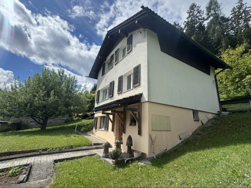 Entwicklungsgrundstück an guter Lage     mit bestehendem Einfamilienhaus (6)