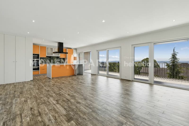 Bel appartement en duplex (3)