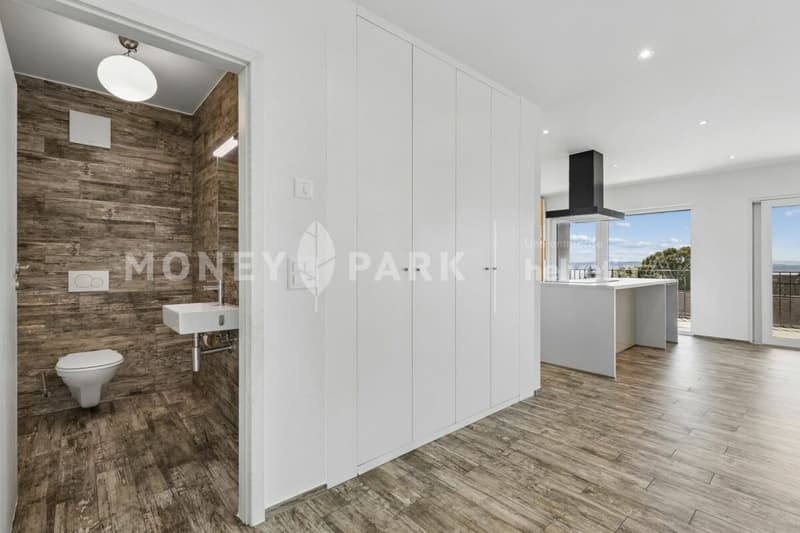 Bel appartement en duplex (5)