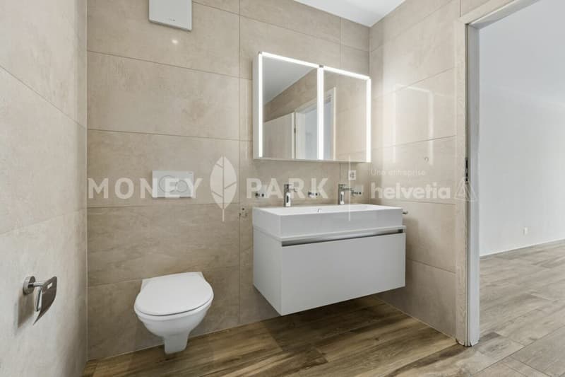 Bel appartement en duplex (12)