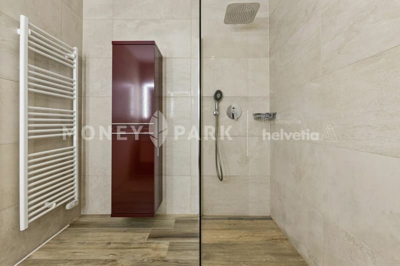 Bel appartement en duplex (11)