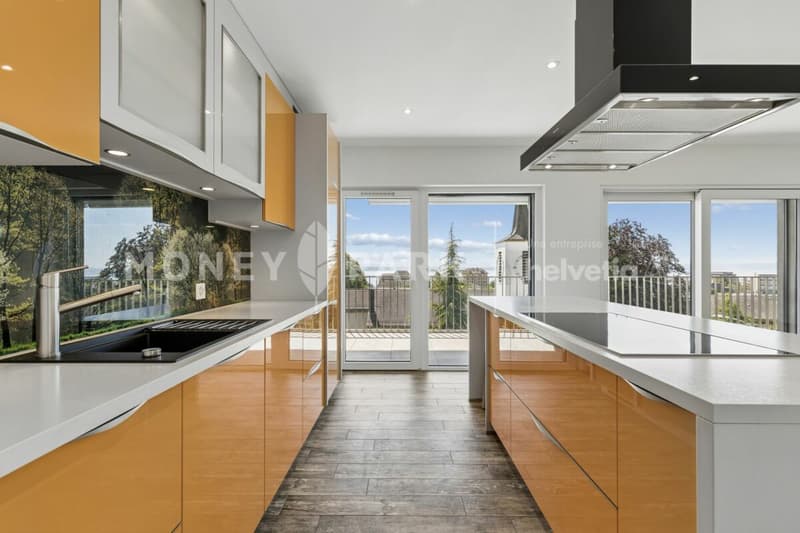 Bel appartement en duplex (4)