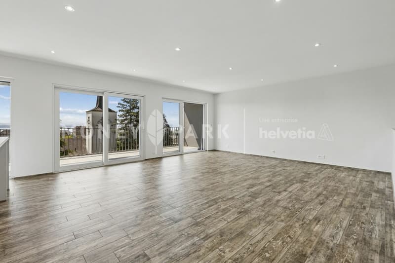 Bel appartement en duplex (2)
