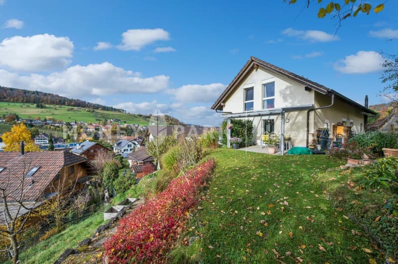 Wohlfühloase über den Dächern von Bubendorf - Ruhe, Aussicht und Privatsphäre in Bubendorf (1)