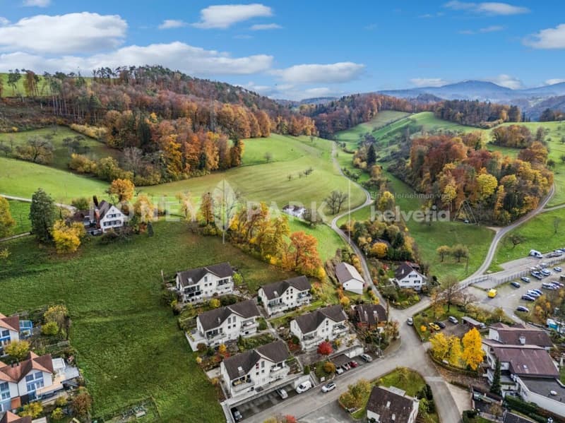 Wohlfühloase über den Dächern von Bubendorf - Ruhe, Aussicht und Privatsphäre in Bubendorf (17)