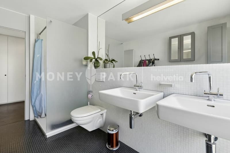 Grand appartement lumineux de 6.5-pièces (10)