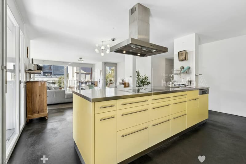 Grand appartement lumineux de 6.5-pièces (5)