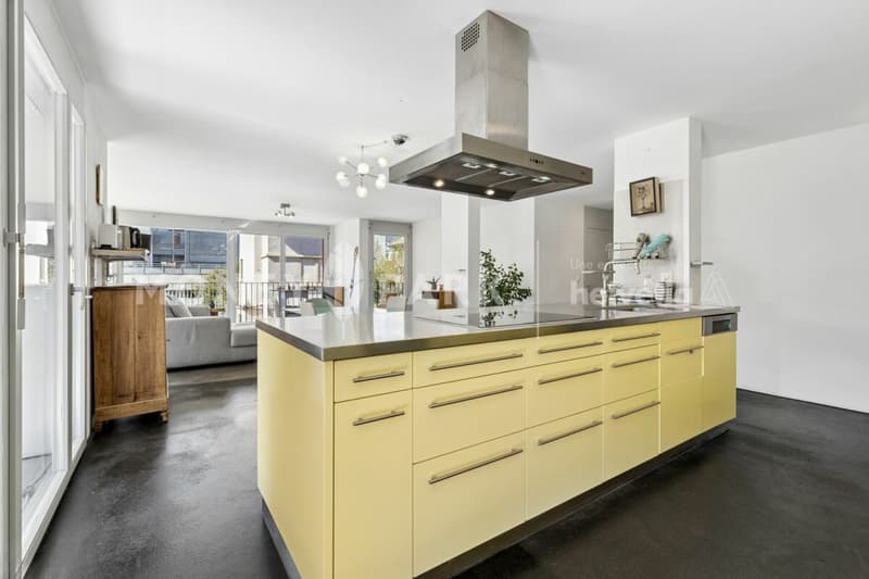 Grand appartement moderne et lumineux de 6.5-pièces (5)