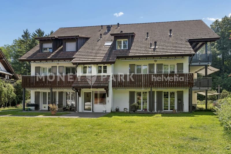 Attraktive 4.5-Zimmer-Maisonette-Dachwohnung (1)
