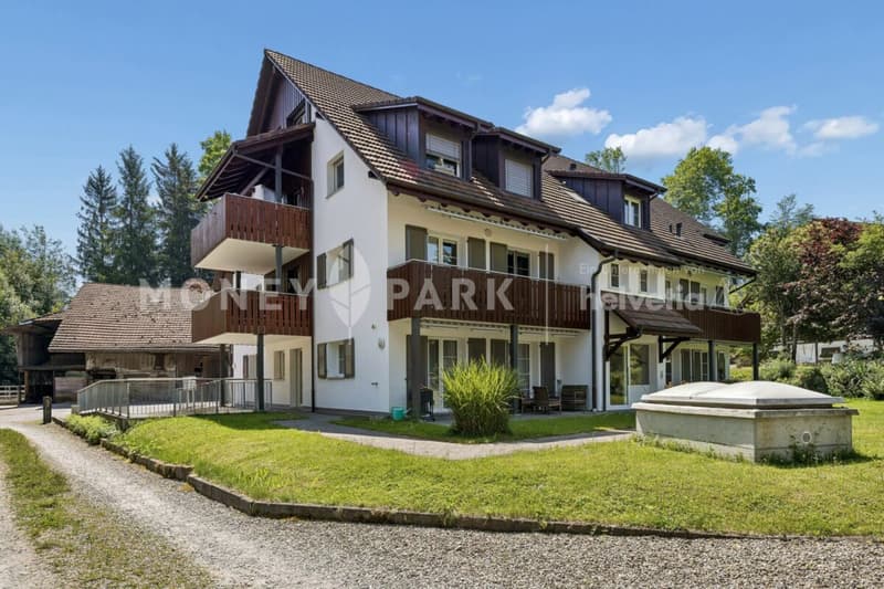 Attraktive 4.5-Zimmer-Maisonette-Dachwohnung (2)