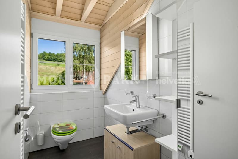 Attraktive 4.5-Zimmer-Maisonette-Dachwohnung (14)