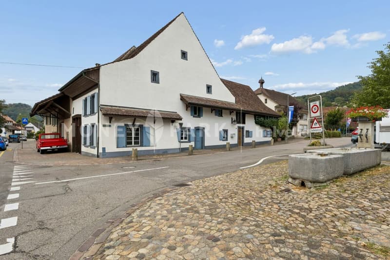 Historisches Bauernhaus liebevoll renoviert (12)