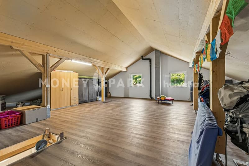 Magnifique propriété de 8 pièces avec hangar technique et quatre garages (15)